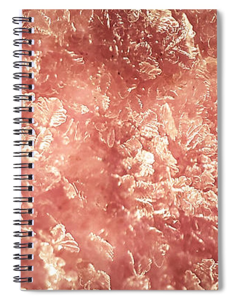 Frost Spiral Notebook featuring the photograph Pink Ice by Robert Knight