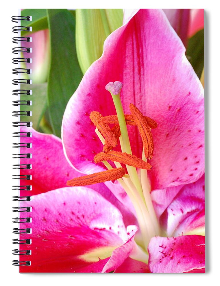 Lily Spiral Notebook featuring the photograph Pink Lily 2 by Amy Fose