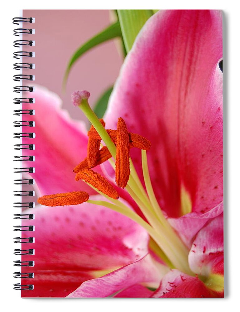 Lily Spiral Notebook featuring the photograph Pink Lily 6 by Amy Fose