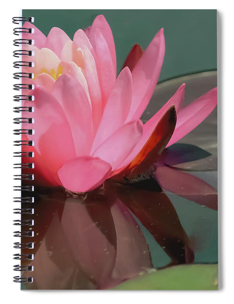 Purity Spiral Notebook featuring the photograph Pink Lotus blossom by Christina McGoran