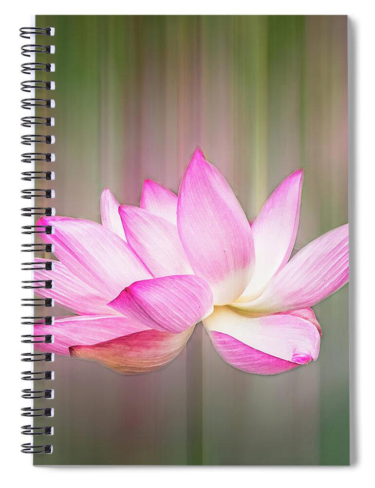 Lotus Spiral Notebook featuring the photograph Pink Lotus Flower by Elvira Peretsman