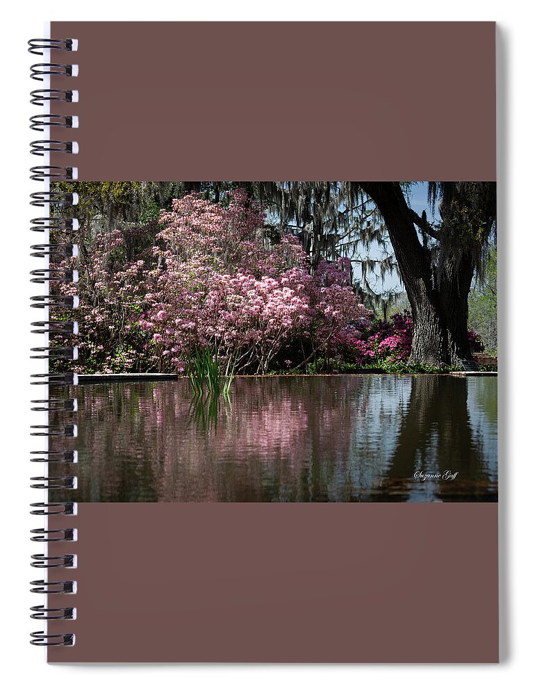 Photograph Spiral Notebook featuring the photograph Pink Magic II by Suzanne Gaff