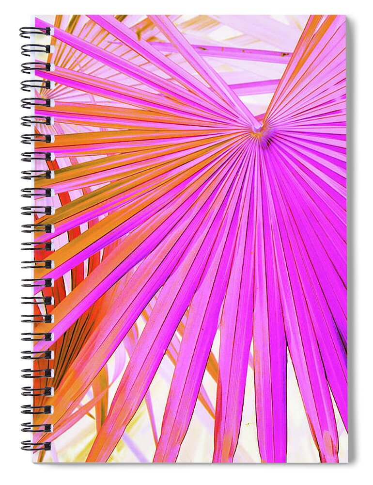 Trees Spiral Notebook featuring the photograph Pink Orange Palmettos by Missy Joy