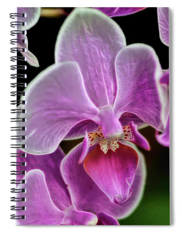 Face Masks Spiral Notebook featuring the photograph Pink orchid from Cuba by Cordia Murphy