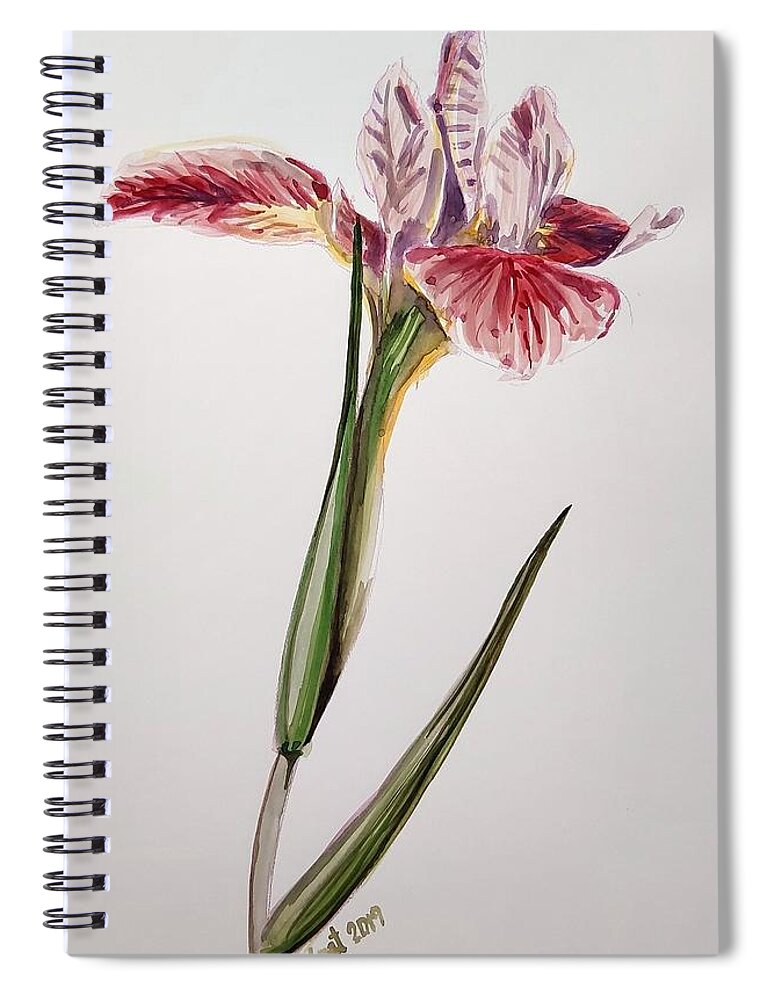 Flower Spiral Notebook featuring the painting Pink Orchid by George Cret