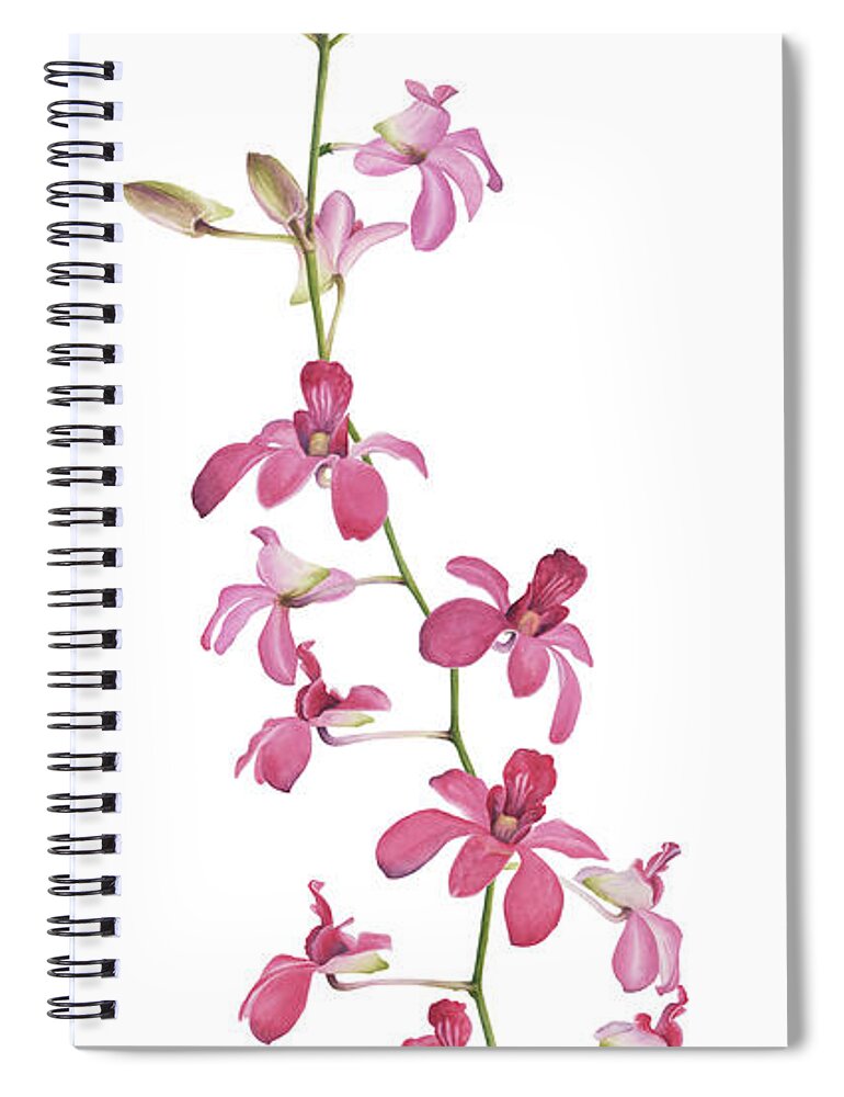 Nikita Coulombe Spiral Notebook featuring the painting Pink Orchids I by Nikita Coulombe