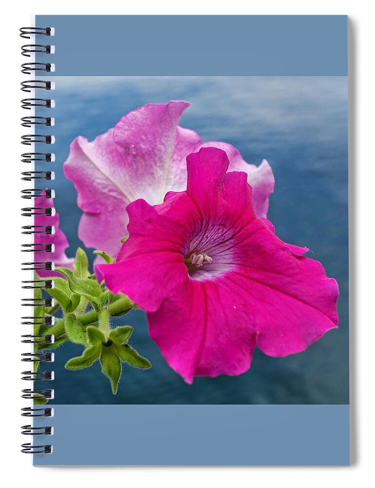 Lake Spiral Notebook featuring the photograph Pink Petunias Above the Lake by Russel Considine