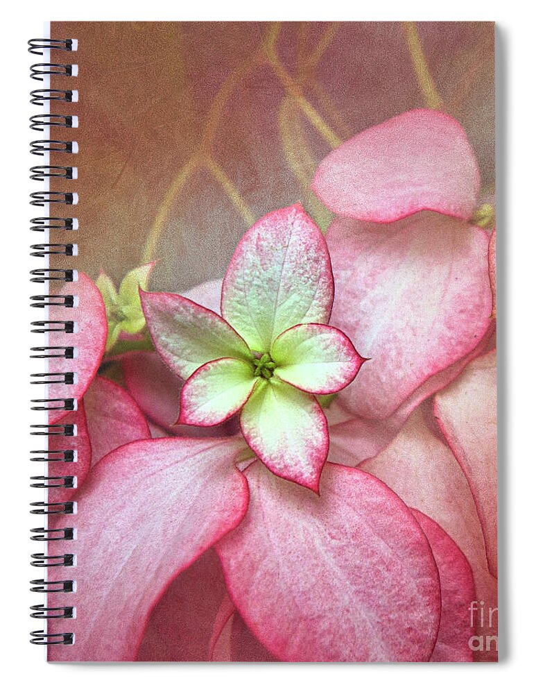 Christmas Tradition Spiral Notebook featuring the digital art Pink Poinsettia Textures by Amy Dundon