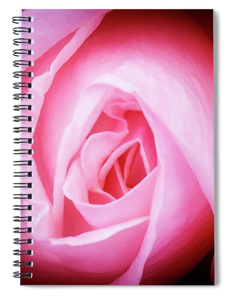 Pink Rose Spiral Notebook featuring the photograph Pink Rose by David Morehead