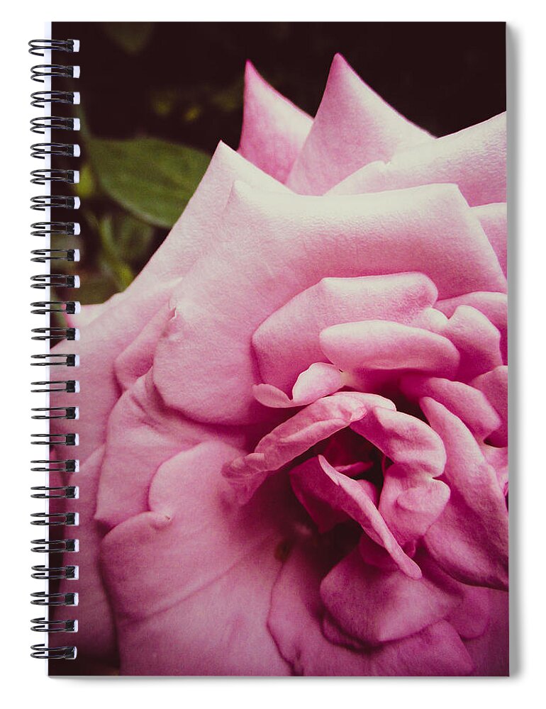 Rose Spiral Notebook featuring the photograph Pink Rose by W Craig Photography
