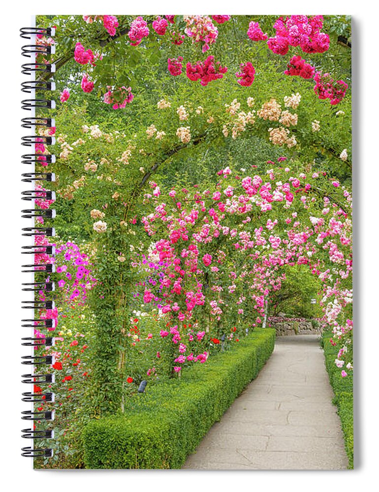 Butchart Gardens Spiral Notebook featuring the photograph Pink roses for you by Michael Wheatley