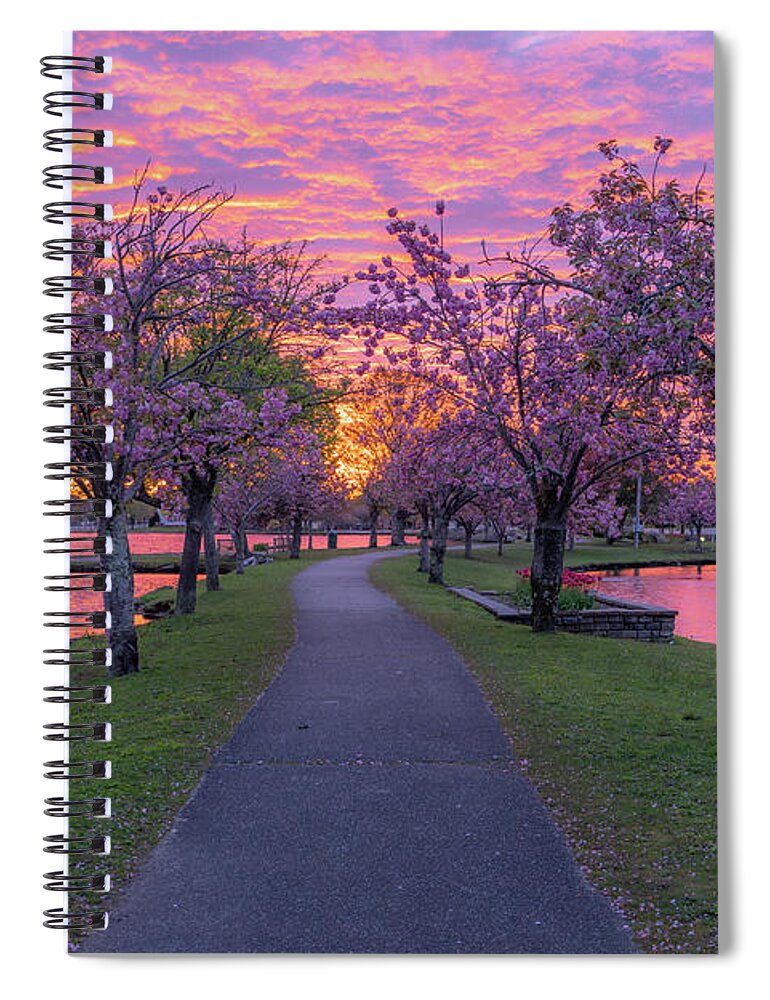 Dogwoods Spiral Notebook featuring the photograph Pink Sky Over Babylon by Sean Mills