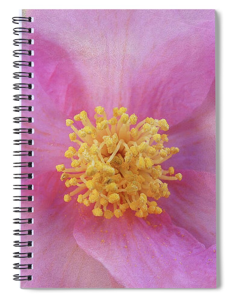 Pink Spiral Notebook featuring the digital art Pink Textures by Amy Dundon