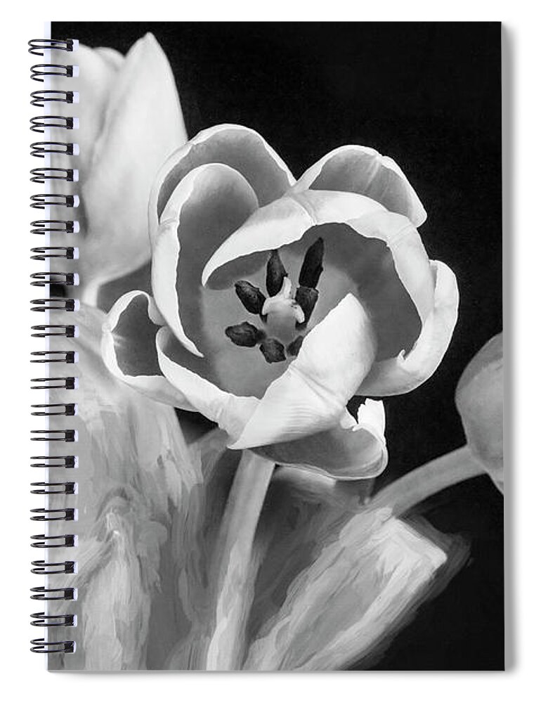 Tulips Spiral Notebook featuring the photograph Pink Tulips Pink Impression X106 by Rich Franco