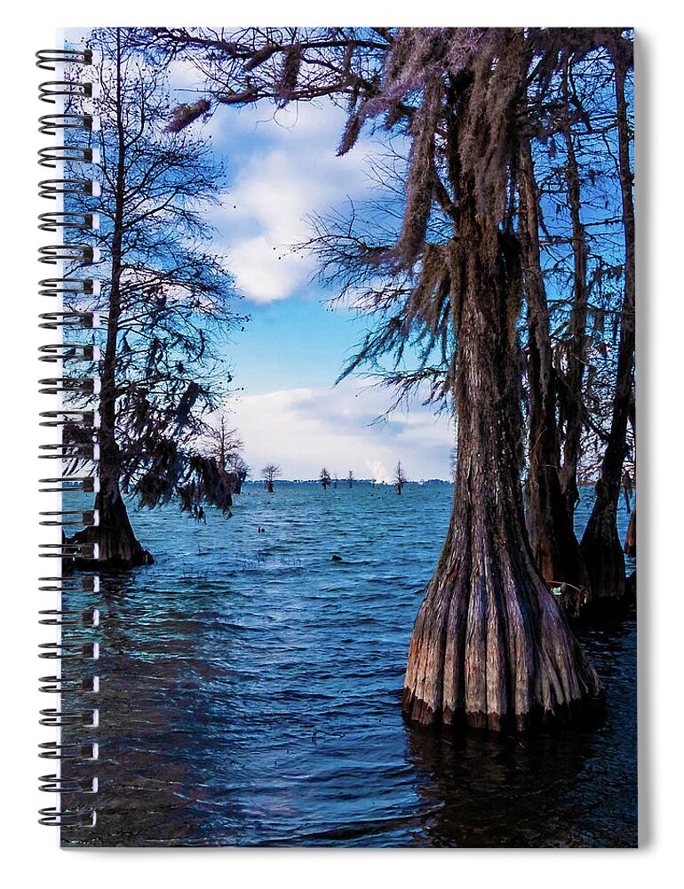 Blue Spiral Notebook featuring the photograph Pinopolis Point by Louis Dallara