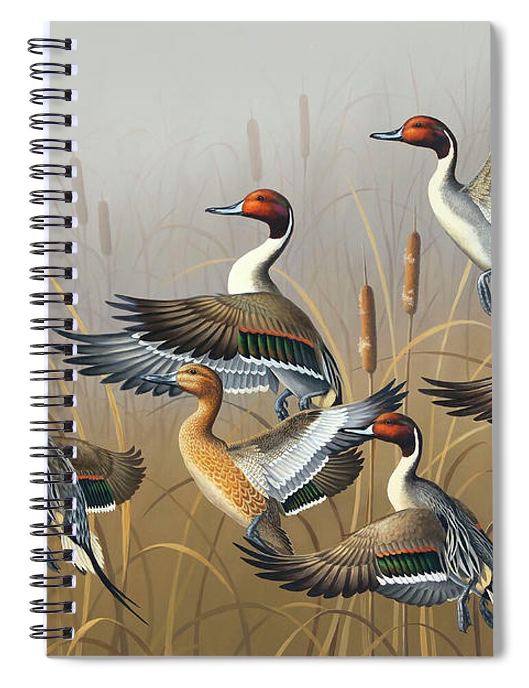 Pintails Spiral Notebook featuring the painting Pintails Rising by Guy Crittenden