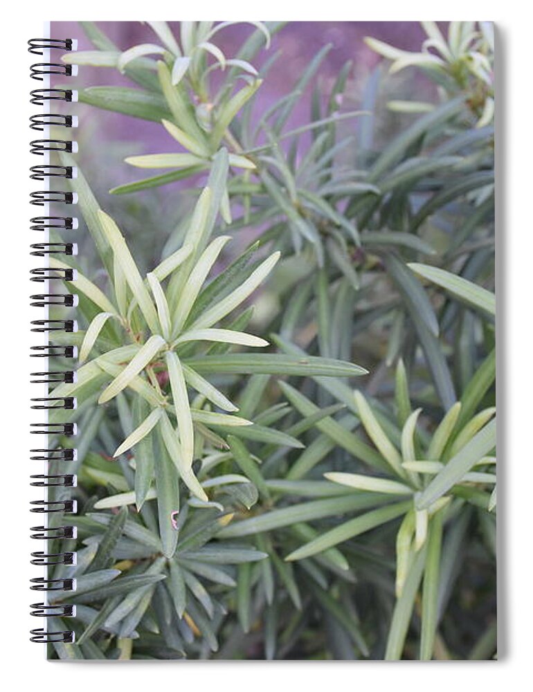Photograph Of Green Plants Spiral Notebook featuring the photograph Plants by Theresa Honeycheck
