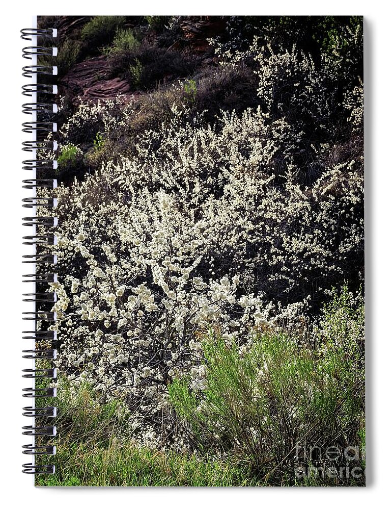 Jon Burch Spiral Notebook featuring the photograph Plum Pretty by Jon Burch Photography
