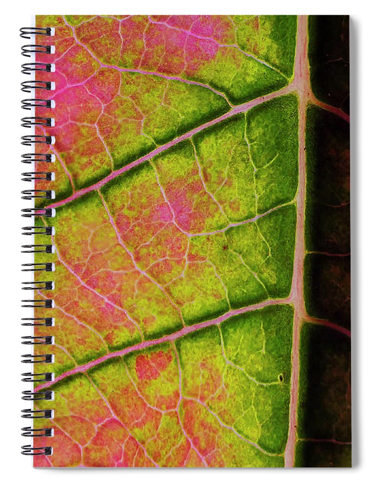 Artificial Light Spiral Notebook featuring the photograph Poinsettia leaf closeup by Charles Floyd