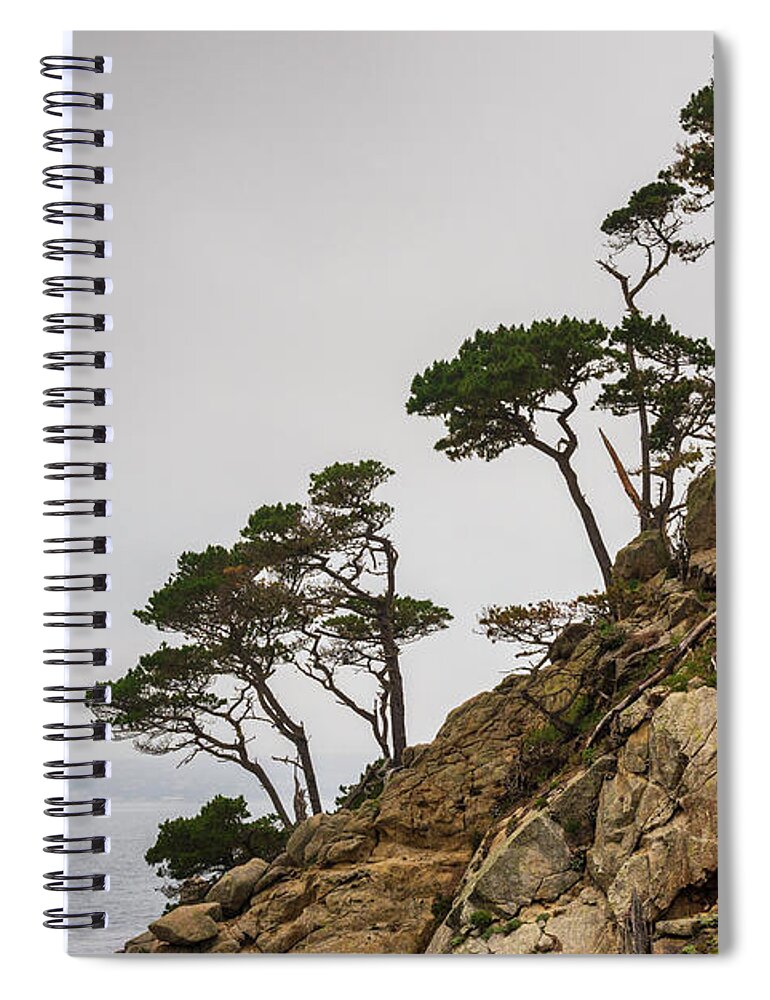  Point Lobos Spiral Notebook featuring the photograph Point Lobos III Color by David Gordon