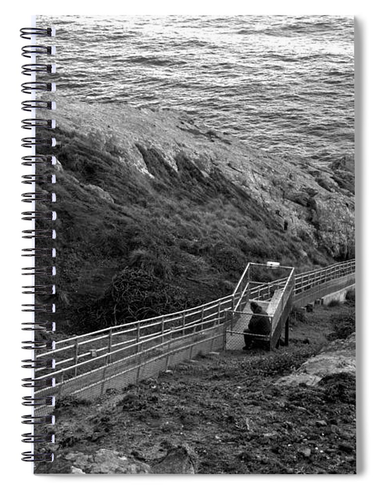 Point Reyes Spiral Notebook featuring the photograph Point Reyes Lighthouse Spring Landscape Black And White by Adam Jewell