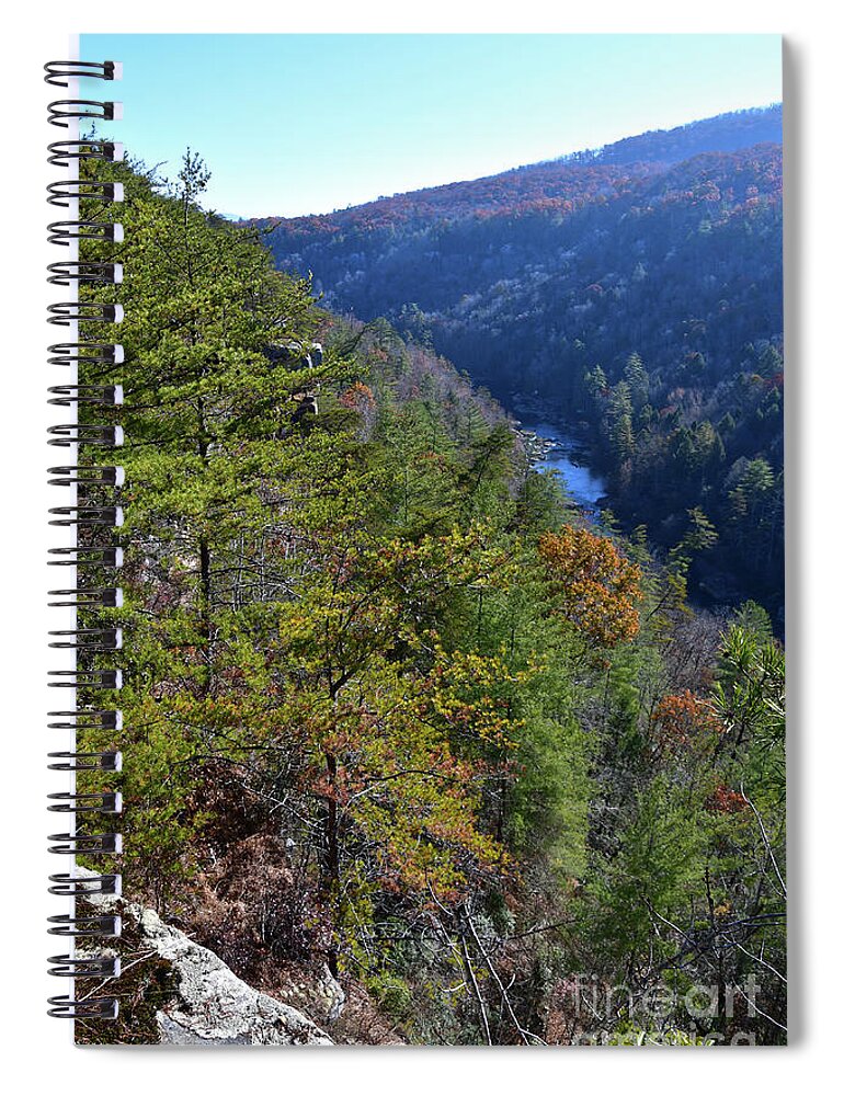 Nature Spiral Notebook featuring the photograph Point Trail At Obed 4 by Phil Perkins