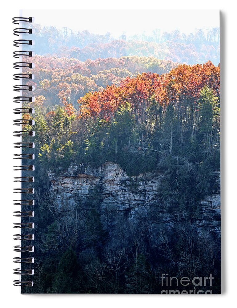 Nature Spiral Notebook featuring the photograph Point Trail At Obed 5 by Phil Perkins