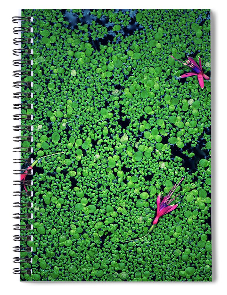 Abstract Flowers Spiral Notebook featuring the photograph Pond flowers by Naomi Maya