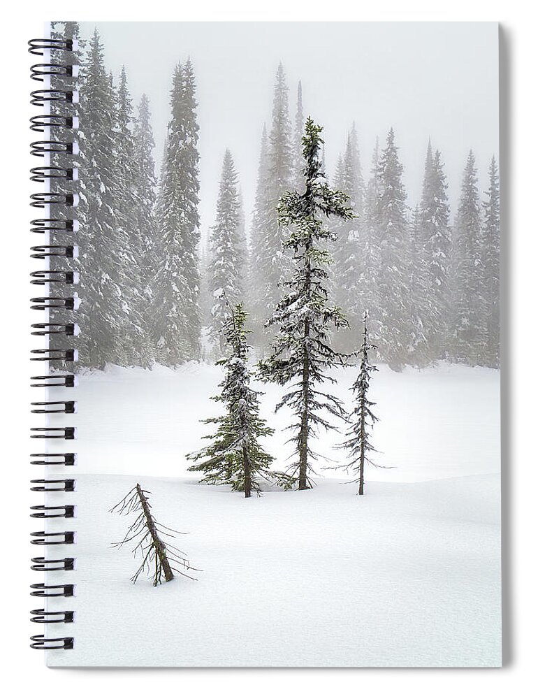 Okanagan Valley Spiral Notebook featuring the photograph Ponderance by Allan Van Gasbeck