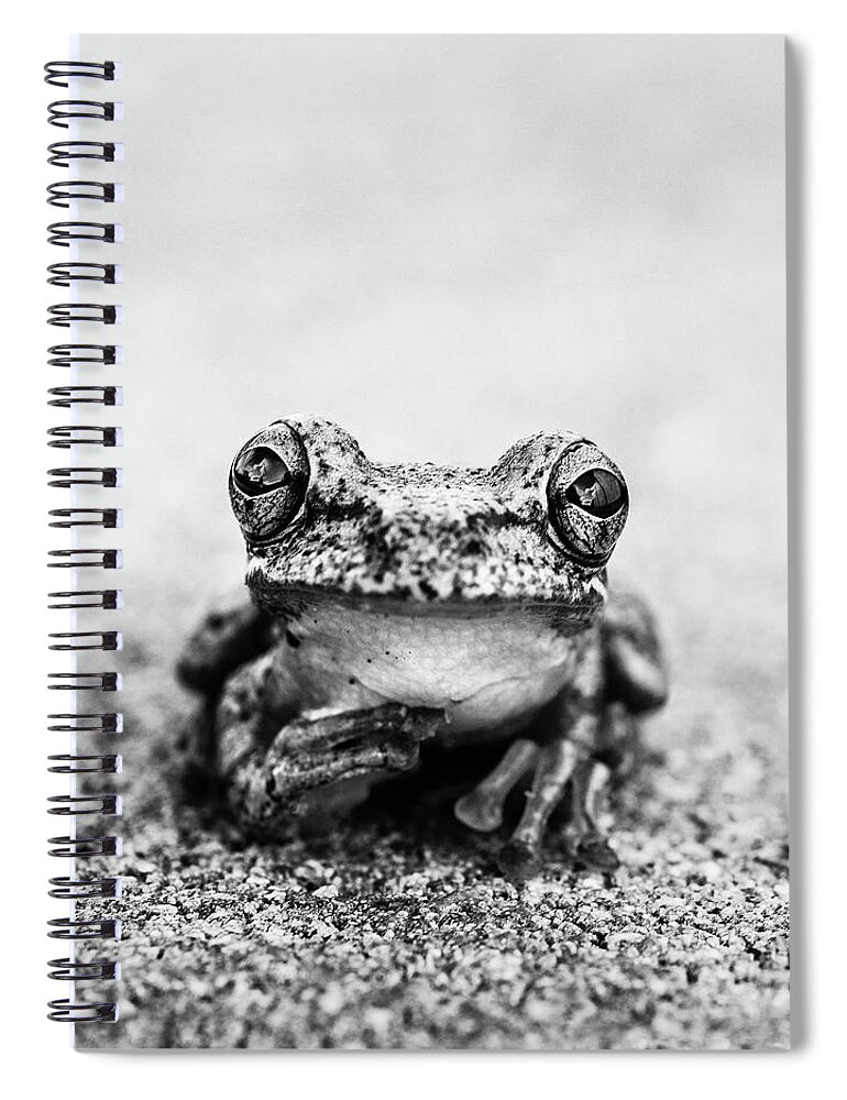 Animal Spiral Notebook featuring the photograph Pondering Frog Bw by Laura Fasulo