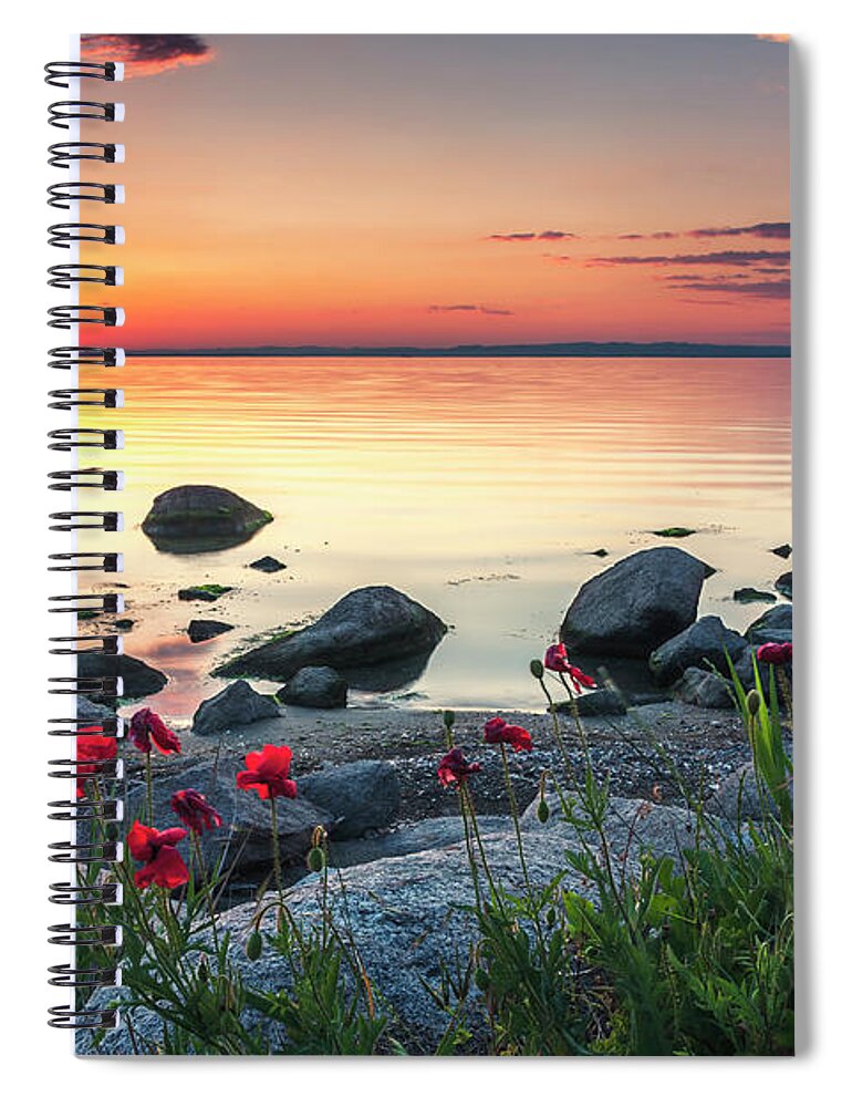 Sea Spiral Notebook featuring the photograph Poppies By the Sea by Evgeni Dinev