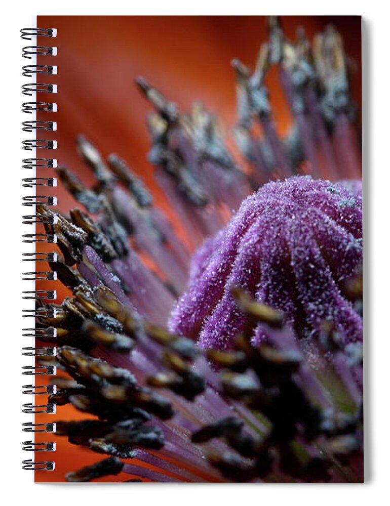 Floral Spiral Notebook featuring the photograph Poppy 1703 by Julie Powell