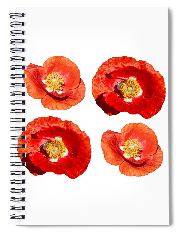Ornamental Poppy Spiral Notebook featuring the photograph Poppy Design 2021-1 by Thomas Young