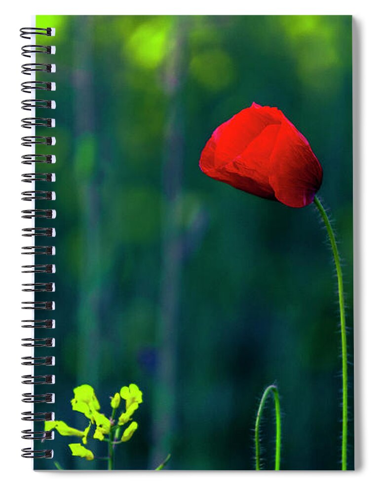 Bulgaria Spiral Notebook featuring the photograph Poppy by Evgeni Dinev