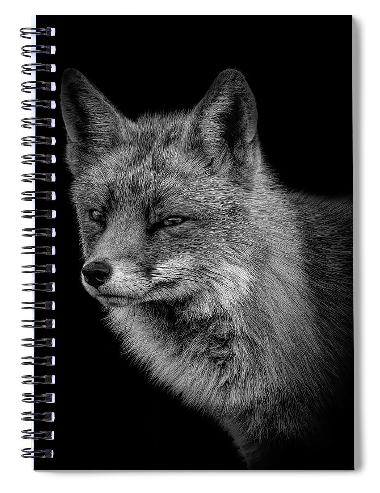 Fox Spiral Notebook featuring the photograph Portrait fox black an white by Marjolein Van Middelkoop