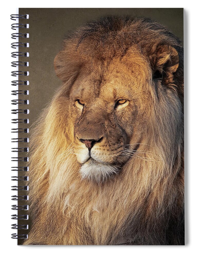 Lion Spiral Notebook featuring the digital art Portrait lion by Marjolein Van Middelkoop