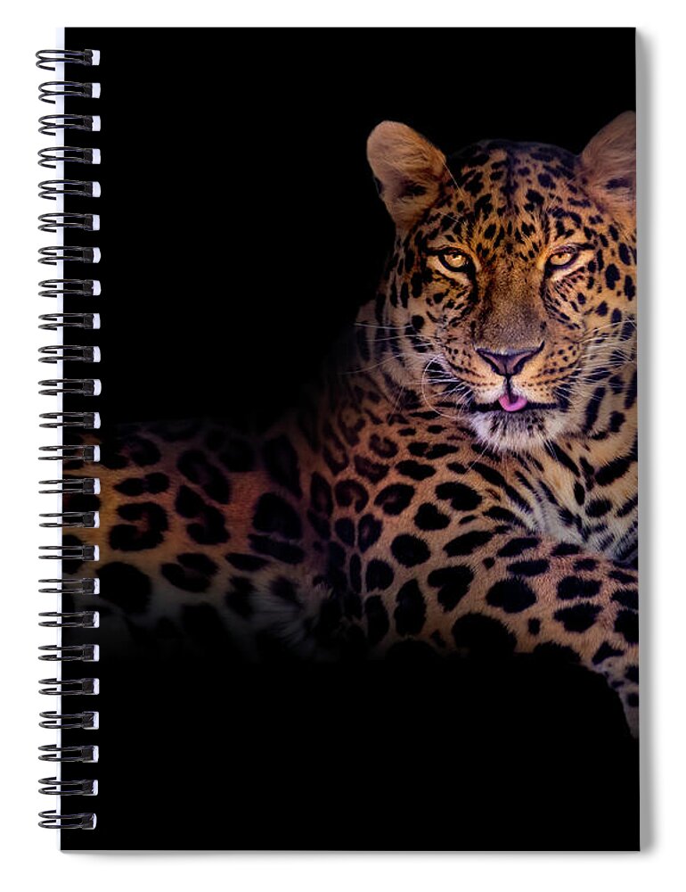Background Spiral Notebook featuring the photograph Portrait of a Leopard by Mark Andrew Thomas