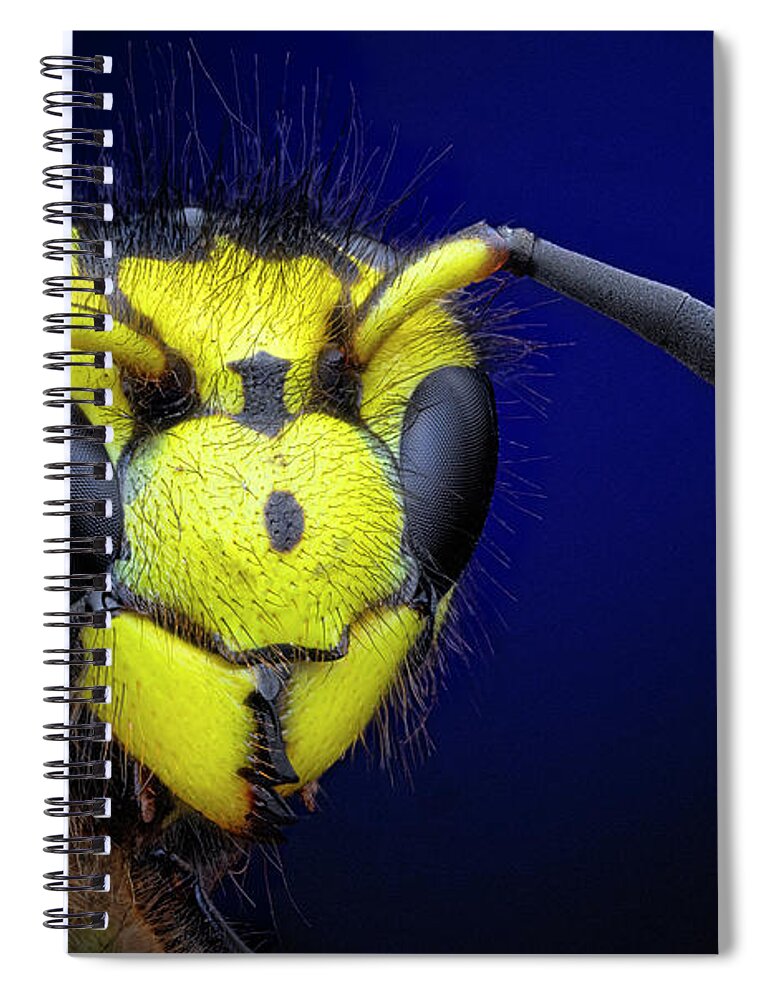 Portrait Of A Yellow-jacket Wasp Spiral Notebook featuring the photograph Portrait of a Yellow-jacket Wasp by Endre Balogh