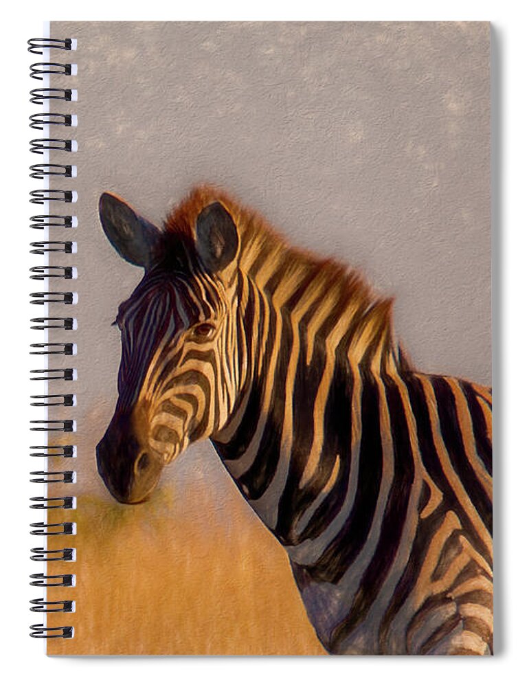 Kruger National Park Spiral Notebook featuring the photograph Portrait of a Zebra by Marcy Wielfaert