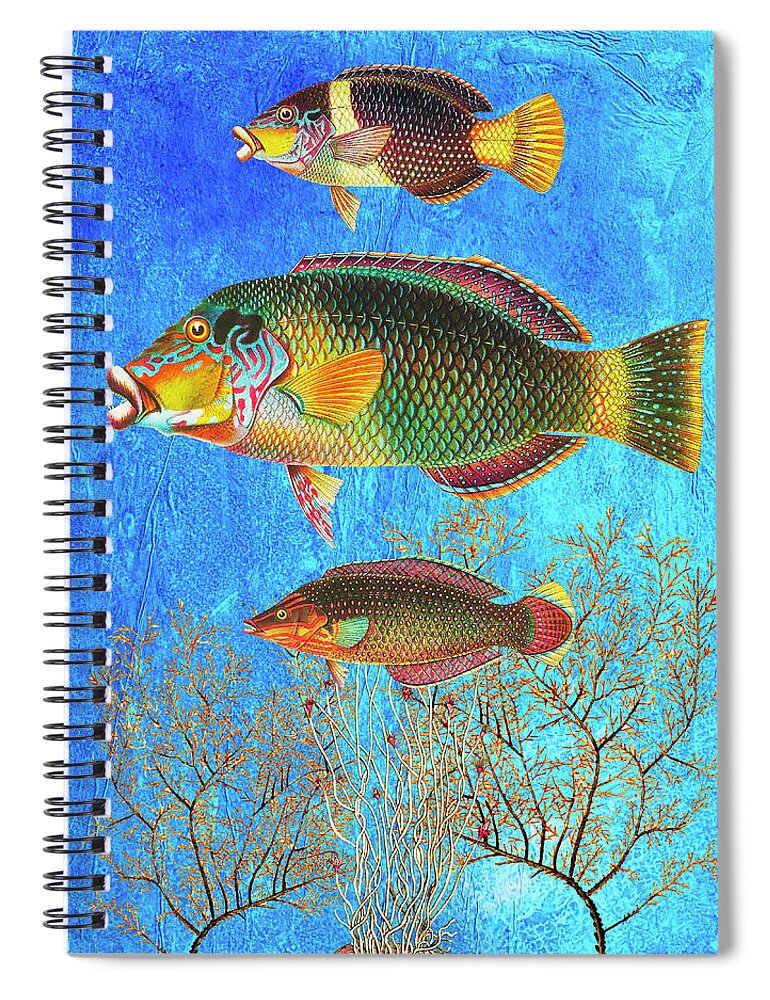 Tropical Fish Spiral Notebook featuring the mixed media Portrait of Three Fish by Lorena Cassady