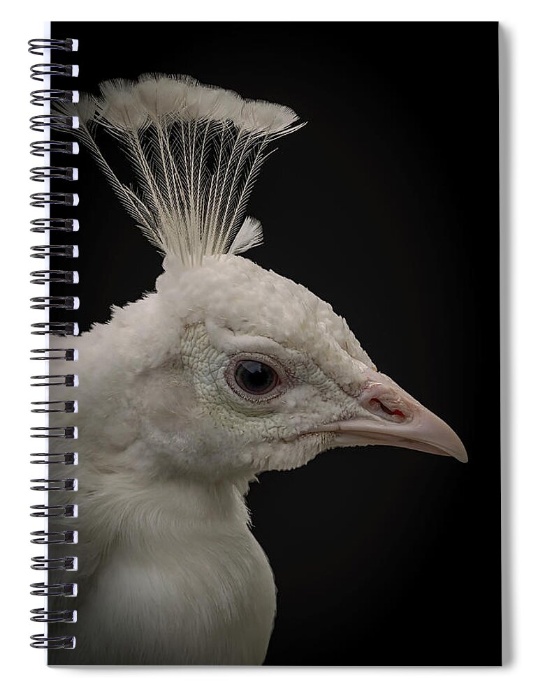 Portrait Spiral Notebook featuring the digital art Portrait white peacock by Marjolein Van Middelkoop