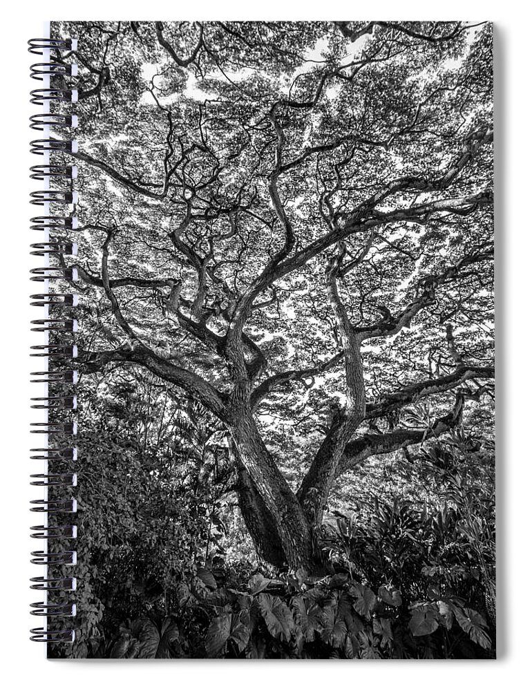 Black And White Spiral Notebook featuring the photograph Positive Energy by Kim Sowa