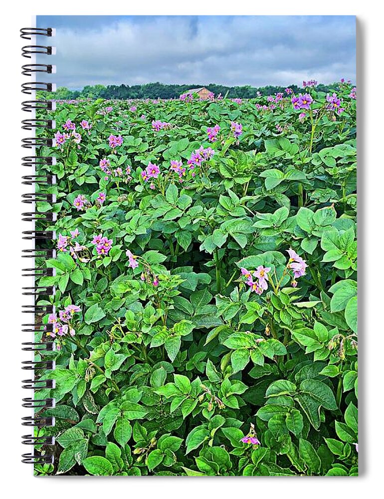 Pink Flower Spiral Notebook featuring the digital art Potato Fields Pink Flowers by Dee Flouton