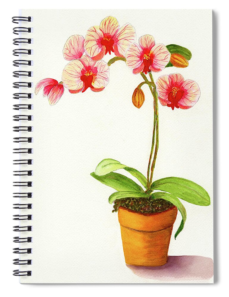 Flower Spiral Notebook featuring the painting Potted Red And White Phalaenopsis Orchid by Deborah League