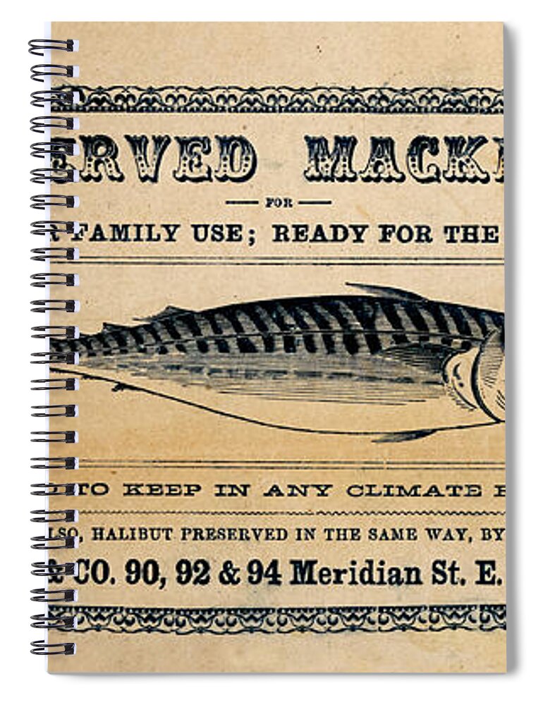 Preserved Mackeral Spiral Notebook featuring the mixed media Preserved Mackerel by Richard Reeve