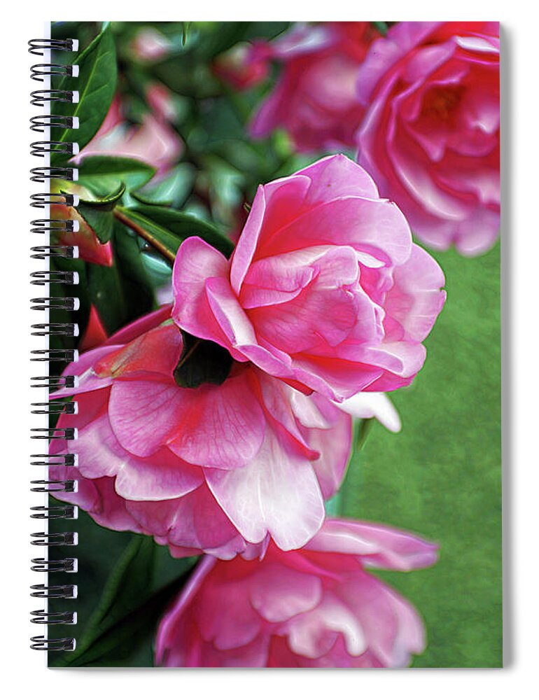 Flowers Spiral Notebook featuring the photograph Pretty in Pink by Cameron Wood