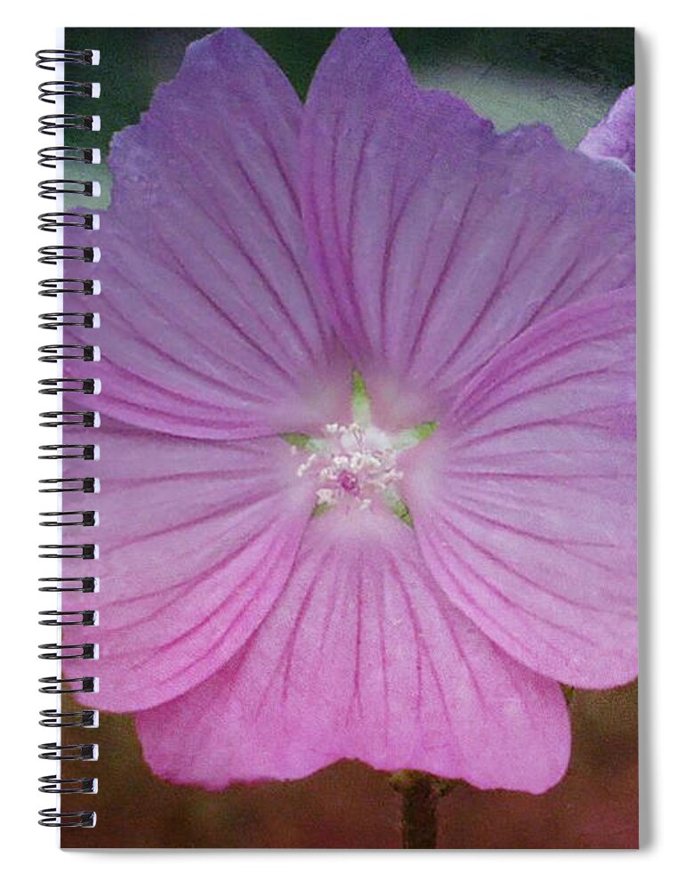 Pink Spiral Notebook featuring the mixed media Pretty in Pink by Moira Law
