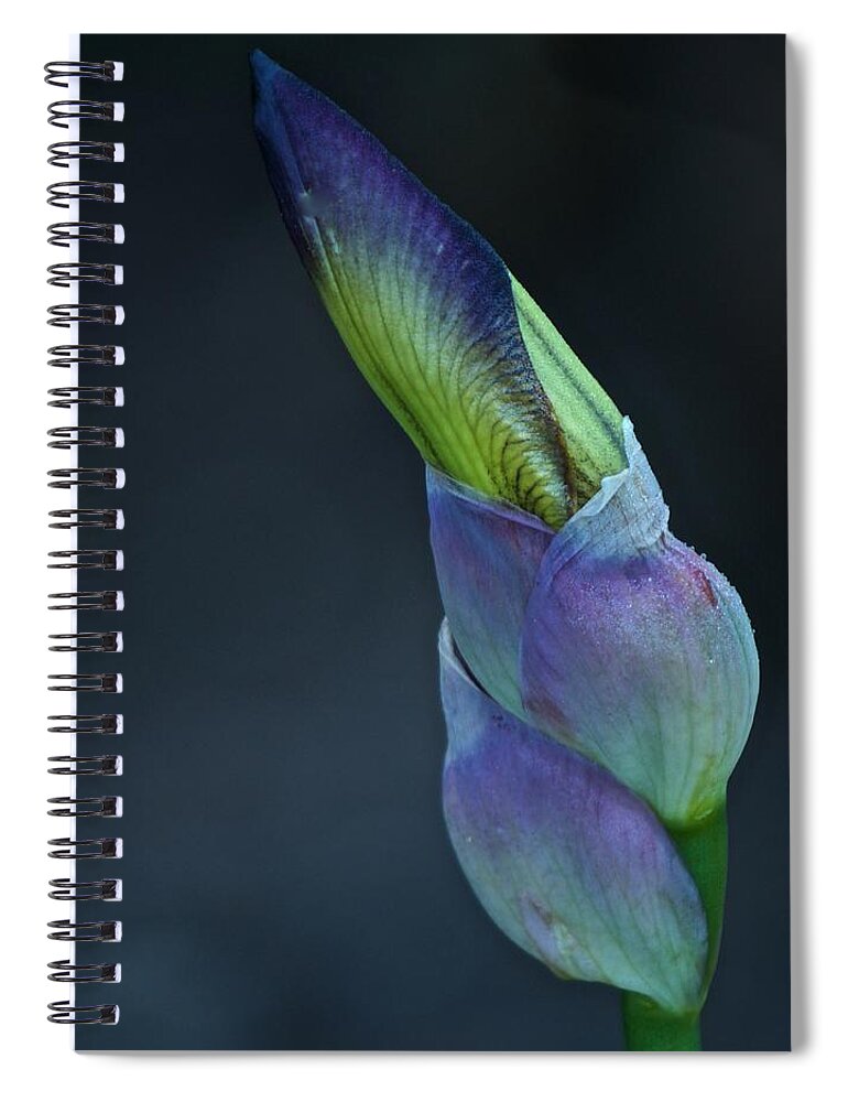 Iris Spiral Notebook featuring the photograph Preview of Beauty to Come by Richard Cummings