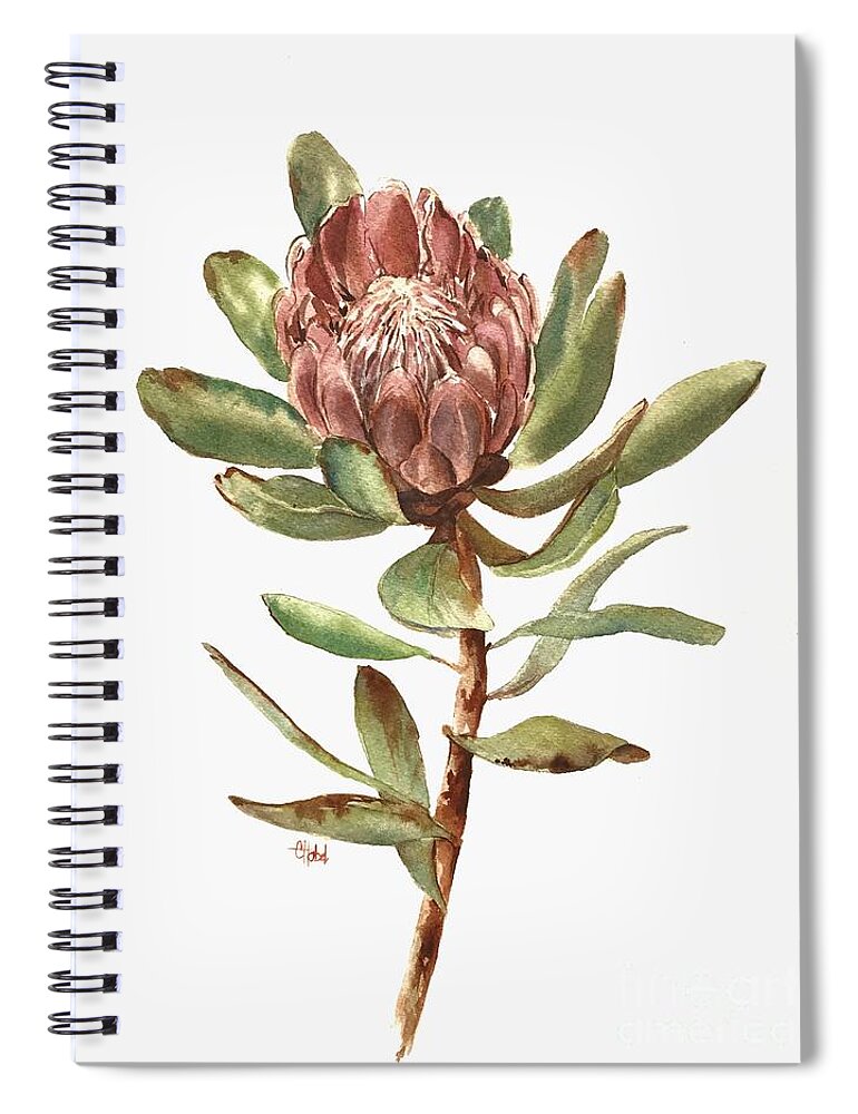 Flower Spiral Notebook featuring the painting Protea Flower by Chris Hobel