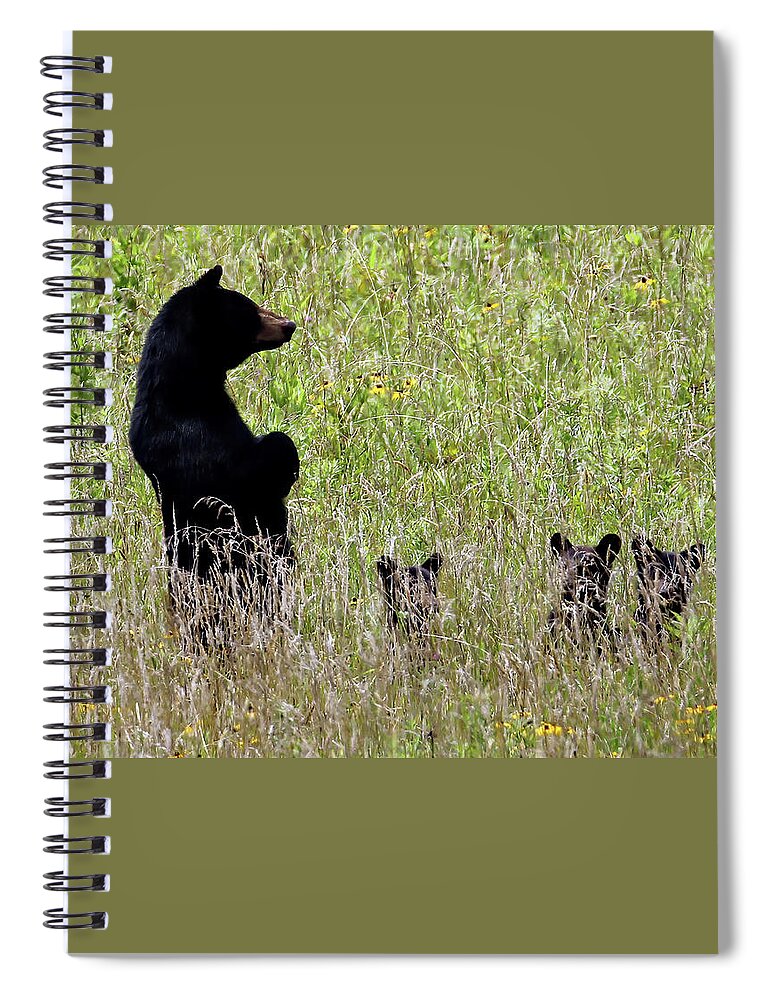 Tennessee Spiral Notebook featuring the photograph Protective Black Bear by Jennifer Robin